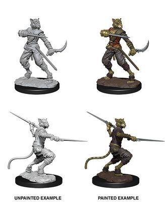 Nolzur&#39;s Marvelous Miniatures: Tabaxi Rogue Male