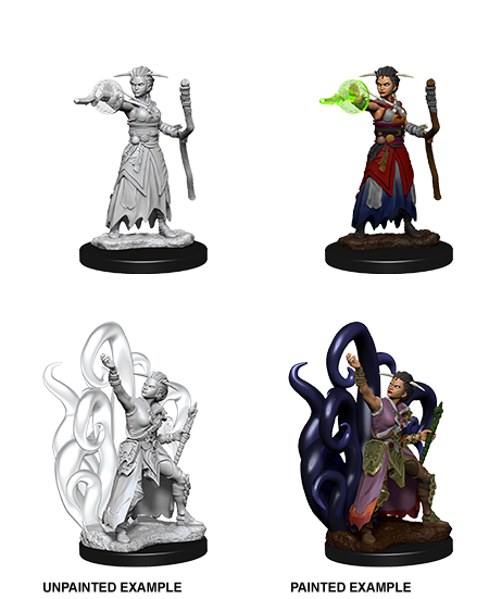 Nolzur&#39;s Marvelous Miniatures: Human Warlock Female