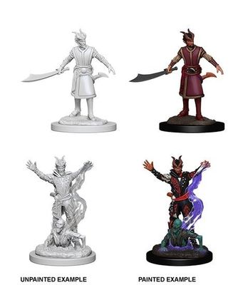 Nolzur&#39;s Marvelous Miniatures: Tiefling Warlock Male