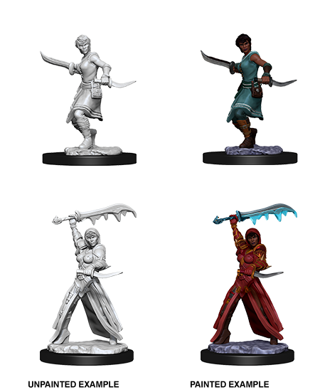 Nolzur&#39;s Marvelous Miniatures: Human Rogue Female