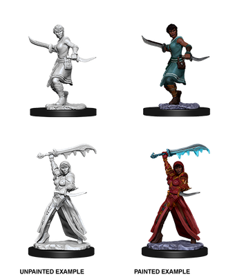 Nolzur&#39;s Marvelous Miniatures: Human Rogue Female