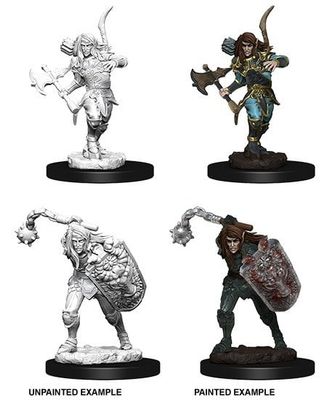 Pathfinder Deep Cuts Miniatures: Elf Fighter Male