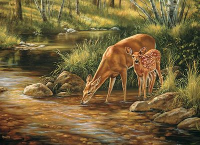 350 pcs - Deer Family (Family Puzzle)