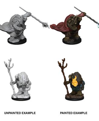Nolzur&#39;s Marvelous Miniatures: Tortle Adventurers