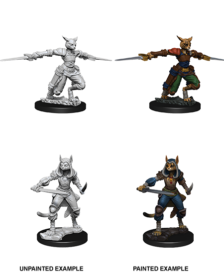 Nolzur&#39;s Marvelous Miniatures: Tabaxi Rogue Female