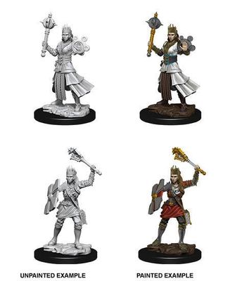 Nolzur&#39;s Marvelous Miniatures: Human Cleric Female