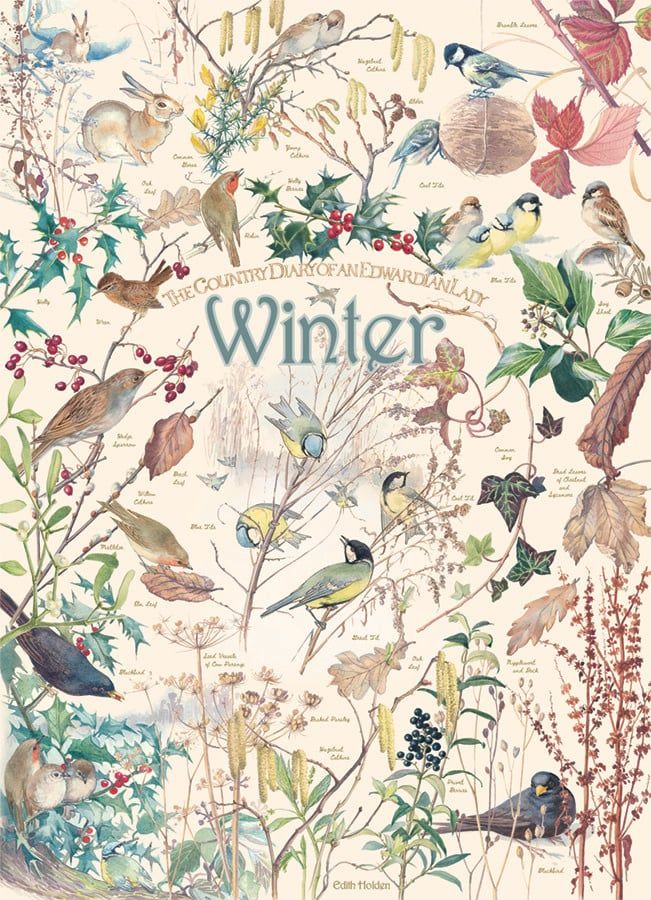 1000 pcs - Country Diary: Winter