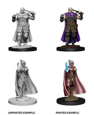 Nolzur's Marvelous Miniatures: Human Ranger &amp; Moon Elf Sorcerer