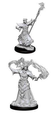 Pathfinder Deep Cuts Miniatures: Human Sorcerer Male