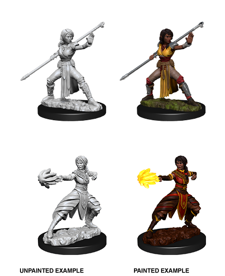 Nolzur&#39;s Marvelous Miniatures: Half-Elf Monk Female