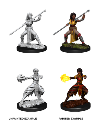 Nolzur&#39;s Marvelous Miniatures: Half-Elf Monk Female