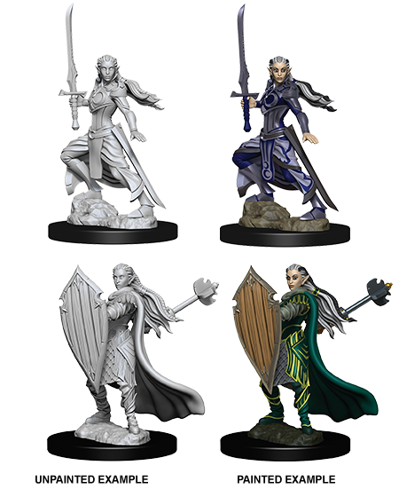 Nolzur&#39;s Marvelous Miniatures: Elf Paladin Female