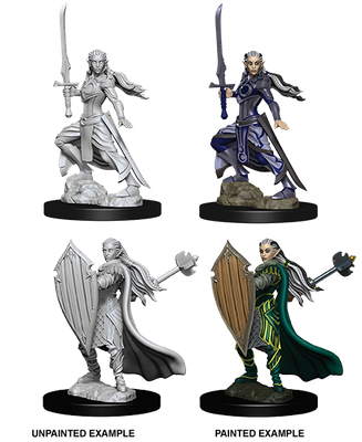 Nolzur&#39;s Marvelous Miniatures: Elf Paladin Female
