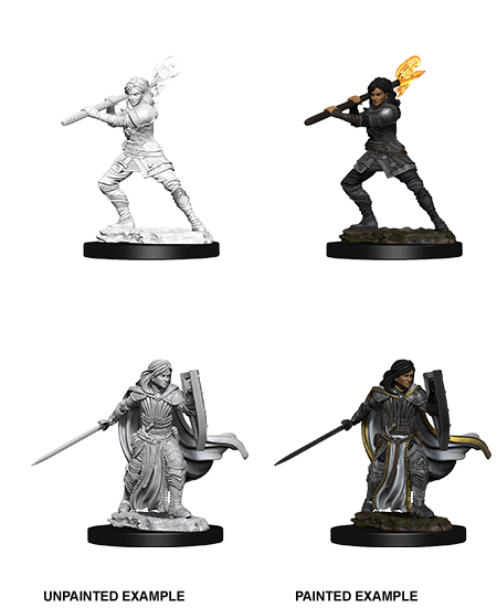Nolzur&#39;s Marvelous Miniatures: Human Paladin Female