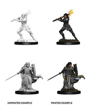 Nolzur&#39;s Marvelous Miniatures: Human Paladin Female