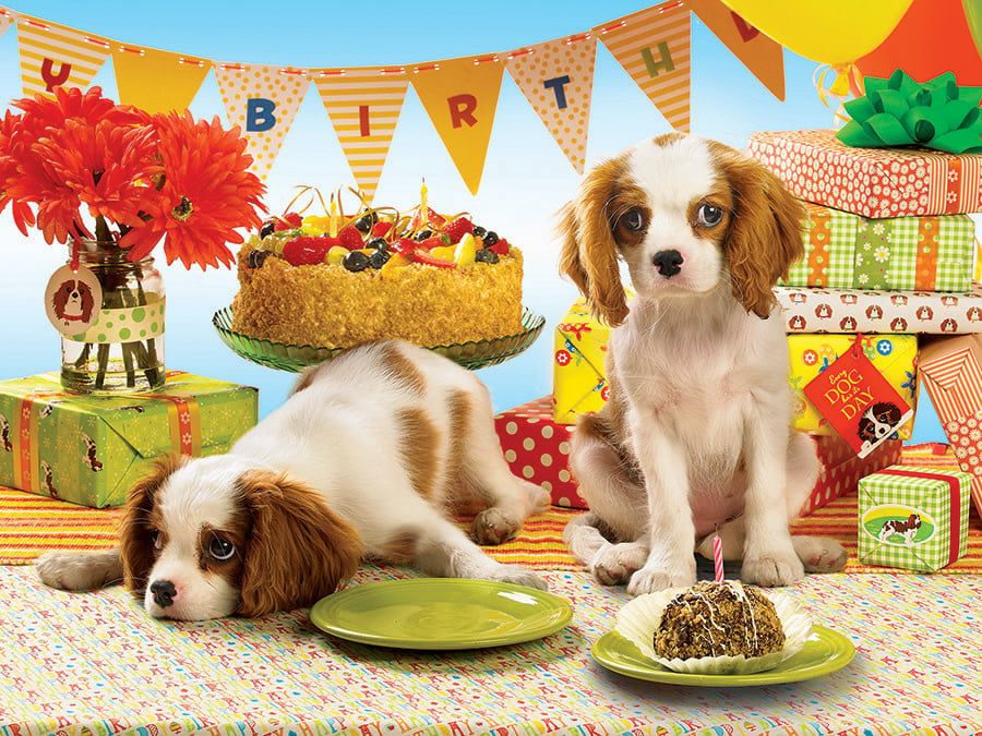 1000 pcs - Every Dog Has Its Day