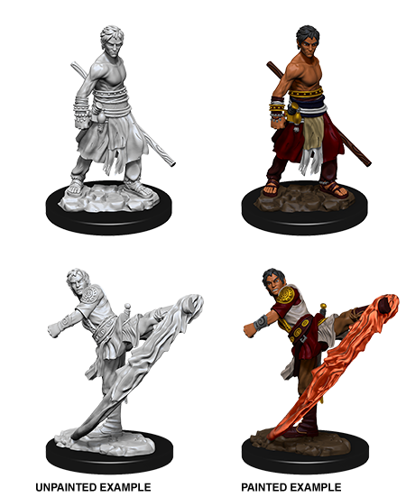 Nolzur&#39;s Marvelous Miniatures: Half-Elf Monk Male