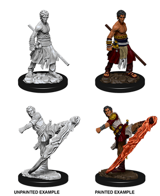 Nolzur&#39;s Marvelous Miniatures: Half-Elf Monk Male