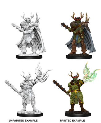 Pathfinder Deep Cuts Miniatures: Half-Orc Druid Male