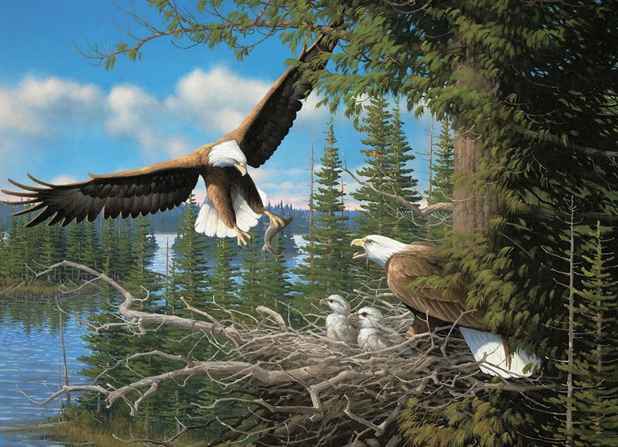 1000 pcs - Nesting Eagles