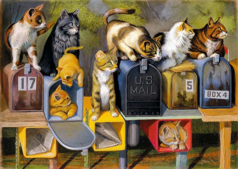 300 pcs - Cat&#39;s Got Mail (Large Piece Format)