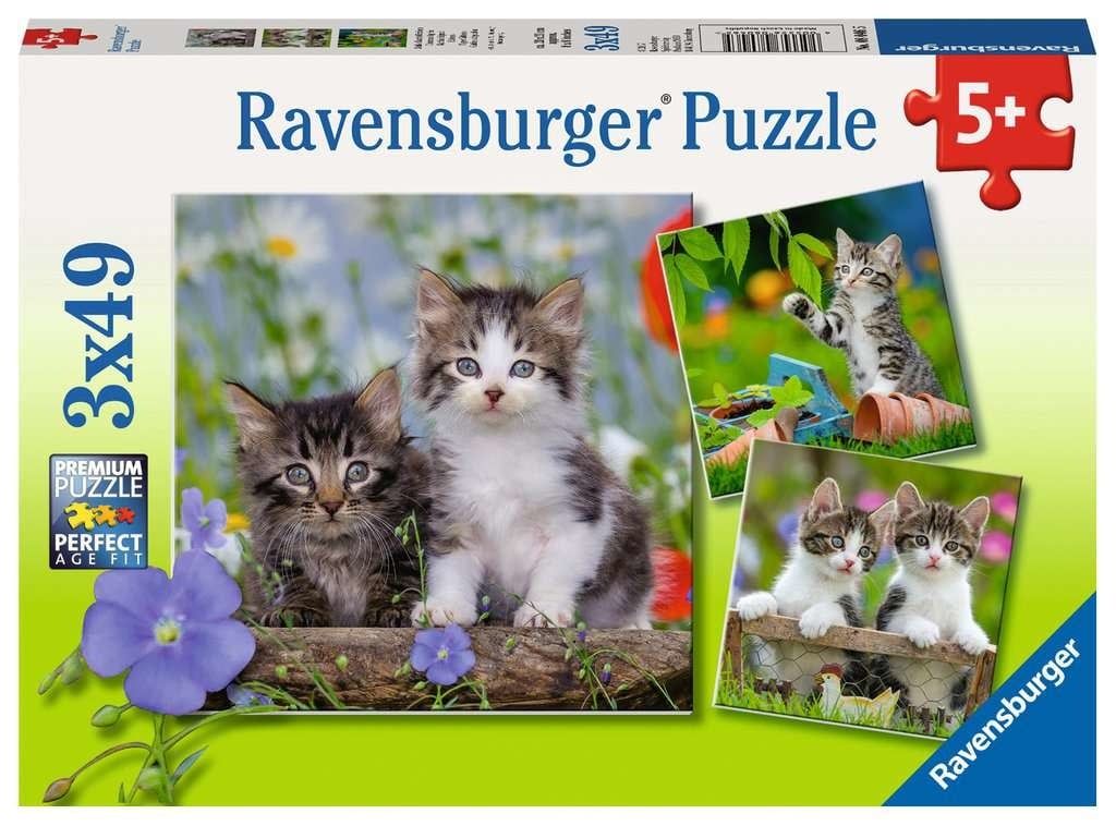 3x49 pcs - Cuddly Kittens