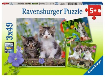 3x49 pcs - Cuddly Kittens