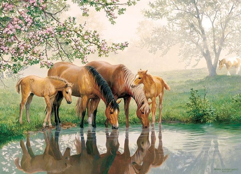 350 pcs - Horse Family (Family Puzzle)