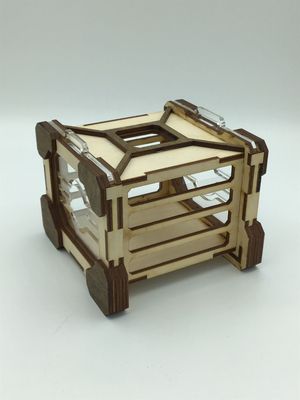 Wooden Dice Jail