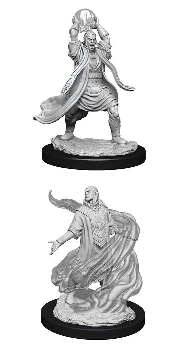 Nolzur&#39;s Marvelous Miniatures: Elf Sorcerer Male