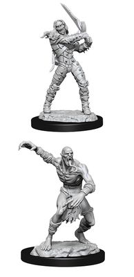 Nolzur's Marvelous Miniatures: Wight &amp; Ghast