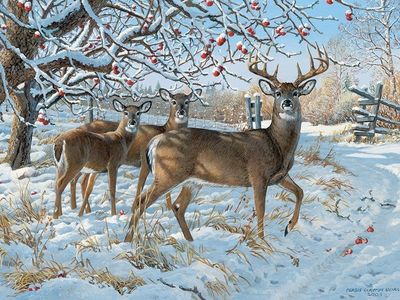 500 pcs - Winter Deer
