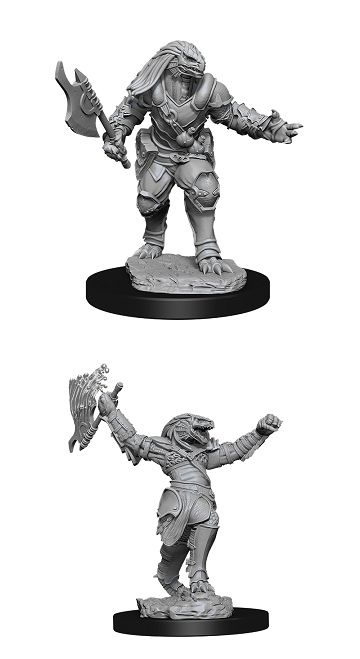 Nolzur&#39;s Marvelous Miniatures: Dragonborn Fighter Female (2020)