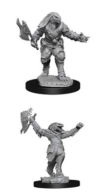 Nolzur's Marvelous Miniatures: Dragonborn Fighter Female (2020)