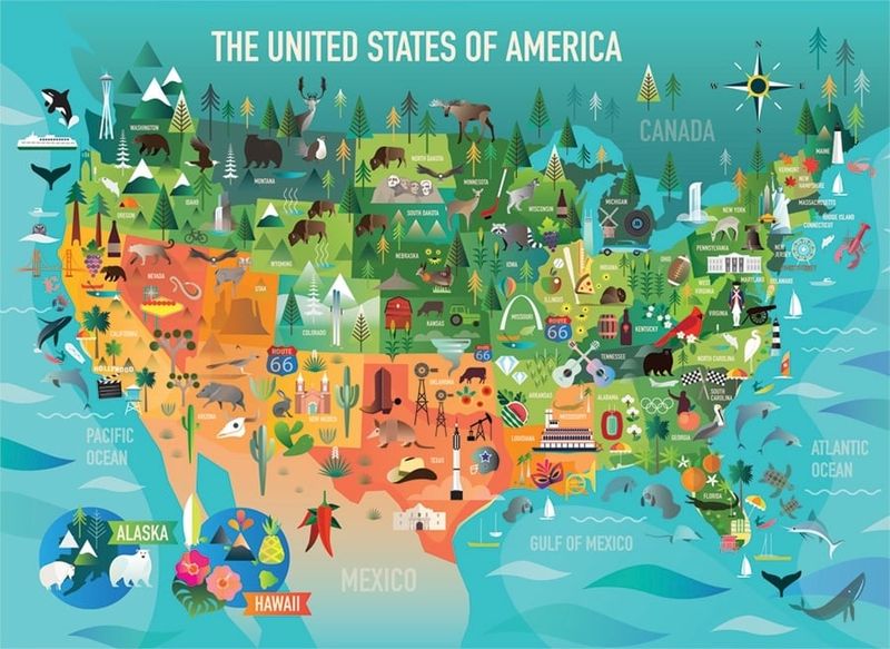 350 pcs - The United States of America (Family Puzzle)