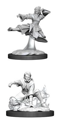 Nolzur&#39;s Marvelous Miniatures: Human Monk Female (2020)