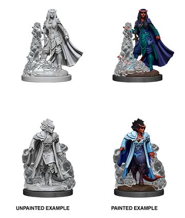 Nolzur&#39;s Marvelous Miniatures: Tiefling Sorcerer Female (2020)