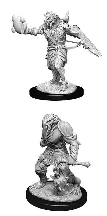 Nolzur's Marvelous Miniatures: Dragonborn Paladin Male