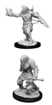 Nolzur's Marvelous Miniatures: Dragonborn Paladin Male