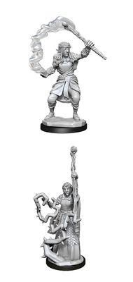 Nolzur's Marvelous Miniatures: Firbolg Druid Female