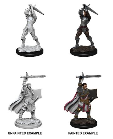 Nolzur&#39;s Marvelous Miniatures: Human Paladin Male (2020)