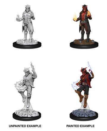 Nolzur&#39;s Marvelous Miniatures: Tiefling Sorcerer Male