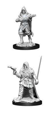 Pathfinder Deep Cuts Miniatures: Human Rogue Male (2020)