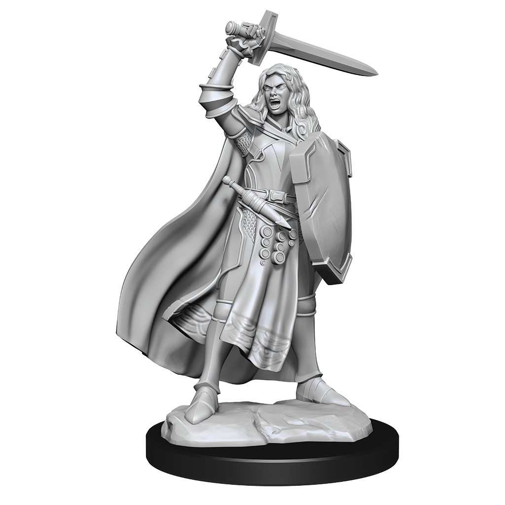 Pathfinder Deep Cuts Miniatures: Human Champion Female