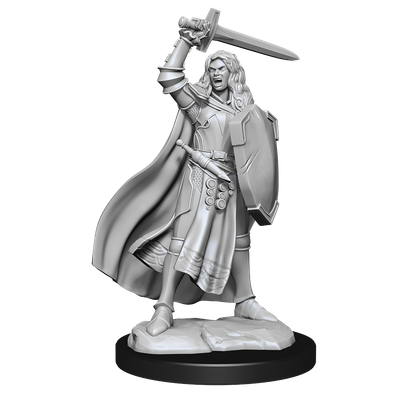 Pathfinder Deep Cuts Miniatures: Human Champion Female