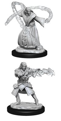 Nolzur's Marvelous Miniatures: Elf Wizard Male