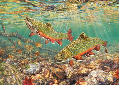 1000 pcs - Brook Trout