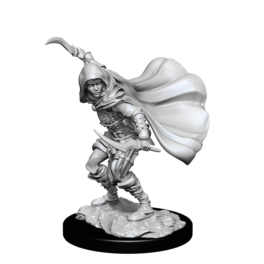 Pathfinder Deep Cuts Miniatures: Human Rogue Female (2021)