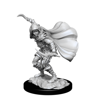 Pathfinder Deep Cuts Miniatures: Human Rogue Female (2021)