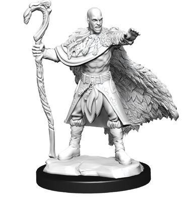 Nolzur's Marvelous Miniatures: Human Druid Male (2021)